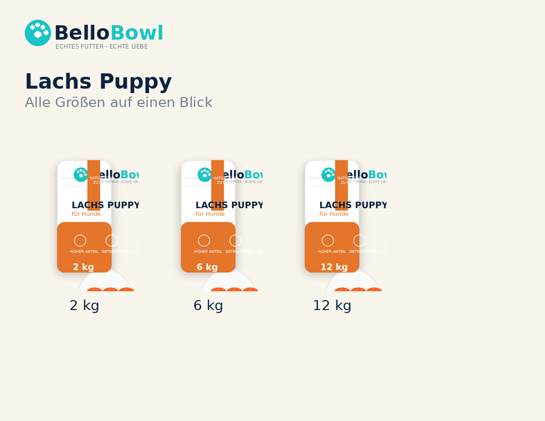BelloBowl Lachs Puppy