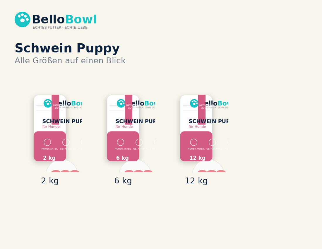 BelloBowl Schwein Puppy