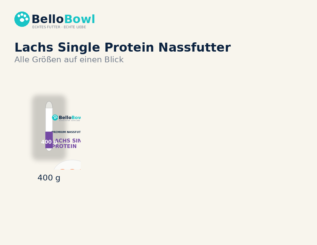 BelloBowl Lachs Single Protein Nassfutter